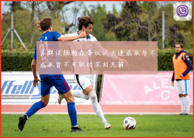 苏群谈杨瀚森争议认为速成派与不成派皆不可取的深刻见解