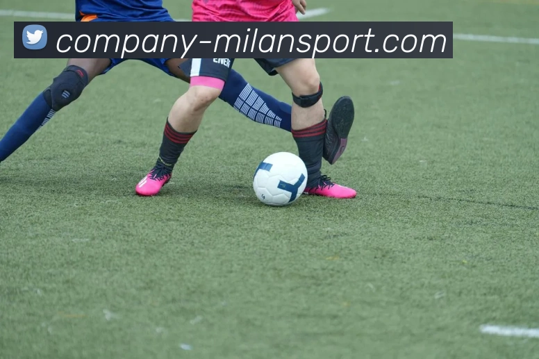 米兰体育APP 封面图